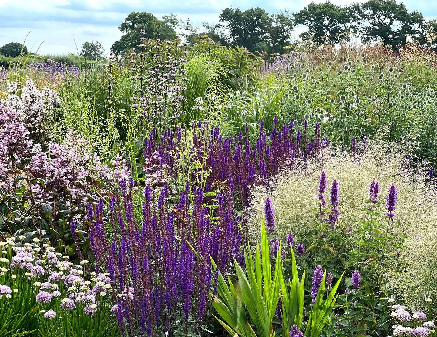 Landscaping and garden design from our nursery on the Mendip Hills