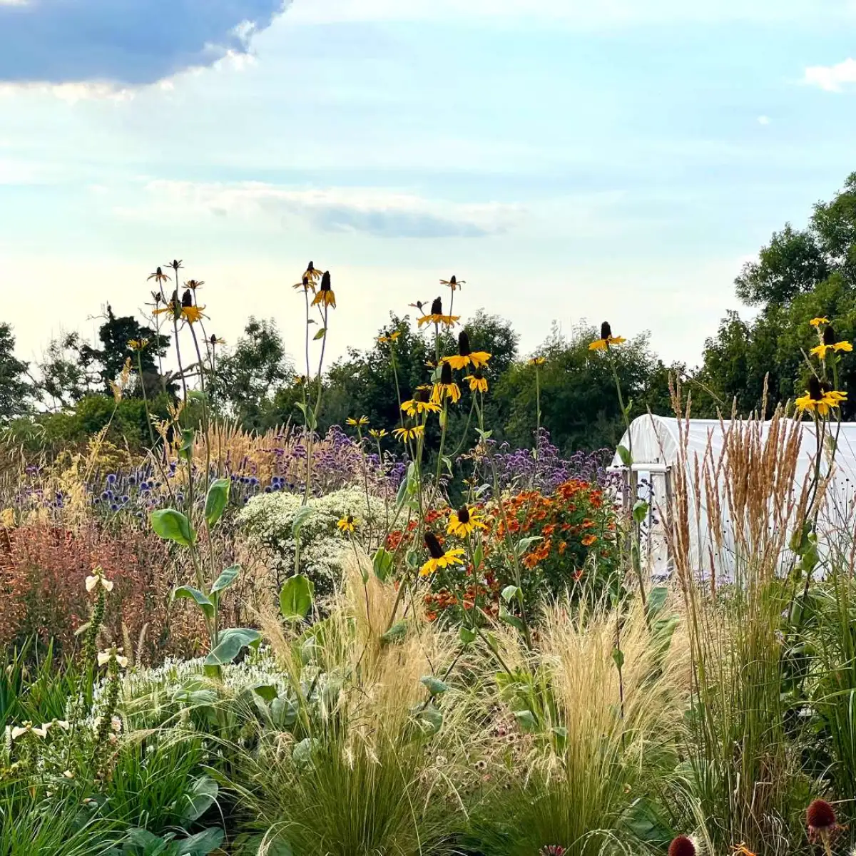 Garden design and landscaping by Blok Building in Bath